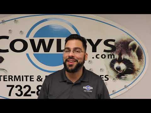 Tips for Termite Awareness Week