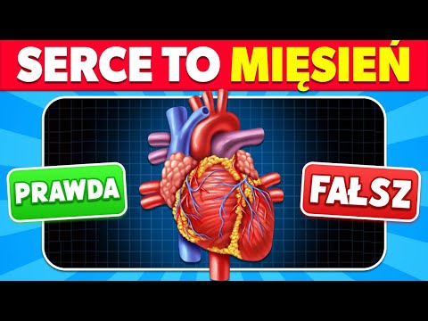 Jak Dobrze Znasz Ciało Człowieka? 🤔