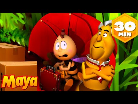 Willy Is Forced to Move! Can Maya Save Her Best Friend? 🐝Maya The Bee | Cartoon and video for Kids