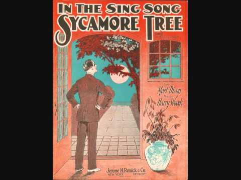 Annette Hanshaw with Lou Gold and His Orchestra - In the Sing Song Sycamore Tree (1928)