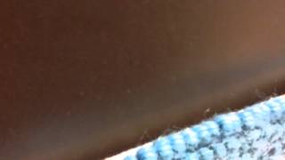 The song of the river