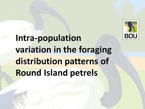 #BOU2015 - Katherine Booth Jones; Intra-population variation in the foraging distribution patterns
