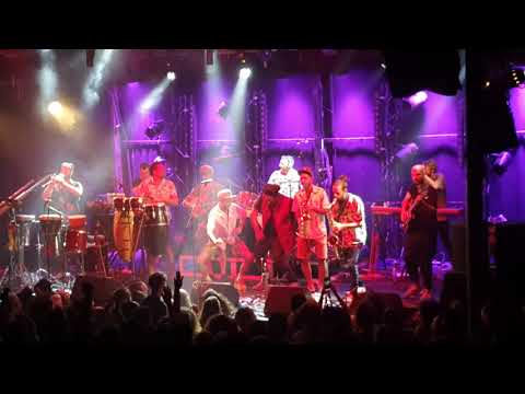 Tarante Groove Machine Ft Malabi Tropical - Babylon