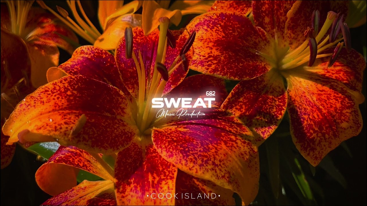 Like Im Gonna Lose You - [Moombahchill Remix] 2026