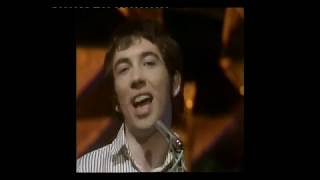 Pete Shelley tribute
