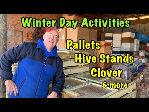 4 Way PALLETS (dimensions) - Feeding Bees - Simple Hive Stands - Checking Clover & more