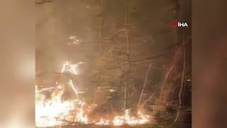 Düzce’de Orman Yangını: 3 Dönüm Arazi Yandı