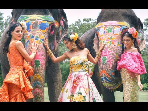 download lagu mp3 mp4 Bambah Dress, download lagu Bambah Dress gratis, unduh video klip Bambah Dress