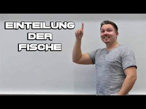 Fit für die Fischerprüfung - 01 - Einteilung der Fische