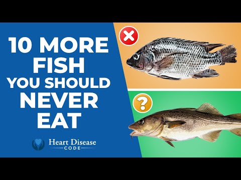 10 More Fish You Should NEVER Eat