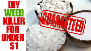 Homemade Weed Killer | Better Than Round-Up | Safe For Pets