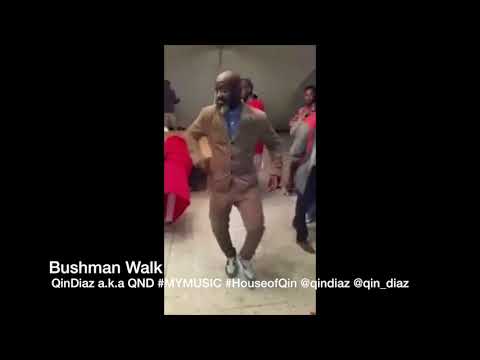 Qin Diaz - Bushman Walk