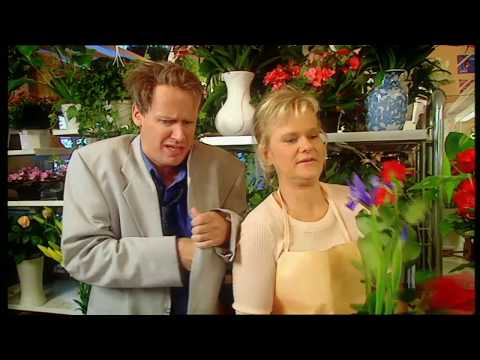 Bakfull man i blomsteraffären - Robert Gustafsson