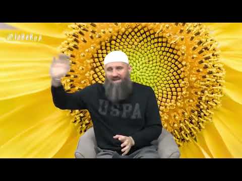 Da li kvari post povraćanje koje imam zbog trudnoće? - Elvedin Pezić