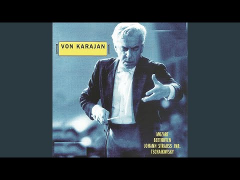 Герберт Фон Караян MP3, 2 CD - фото 8 - id-p2578377129