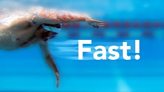 How to swim faster in 100 freestyle