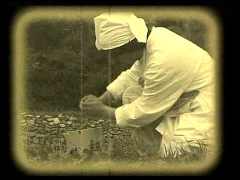 TBF feat BLACK COFFEE & MARIJA DEDIC crna kava