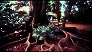 Eddie Vedder - Longing to belong