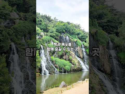 폭포뷰 야외도서관 폭포책방 아름인 도서관에서 힐링해요, 홍제폭포