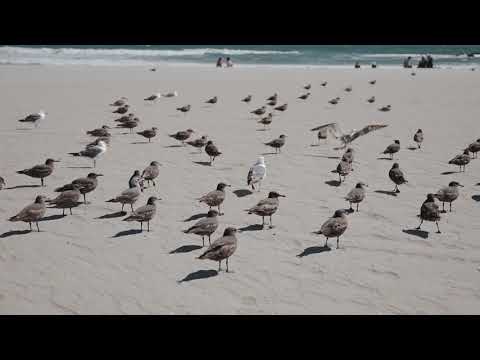 FatboyZerk- Am I Wrong (Official Video)