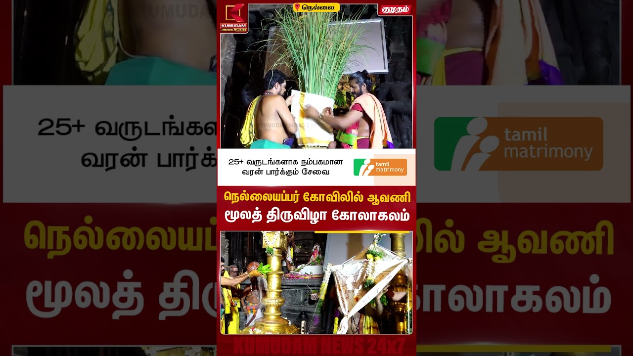நெல்லையப்பர் கோவிலில் ஆவணி மூலத் திருவிழா கோலாகலம் Tirunelveli | Nellaiappar Temple | Kumudam News