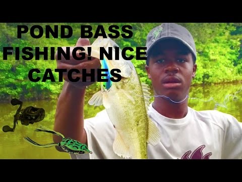 Pond bass fishing