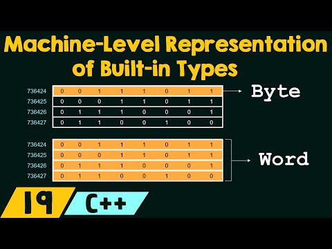 Machine Level Representation of Built in Types in C