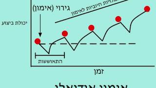 מהו האימון האידיאלי?