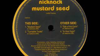 NIcknack - In Hind Sight