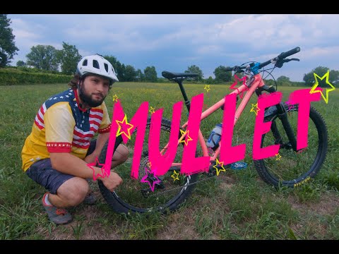 HardTail da Enduro, la MTB definitiva? - Vol.1: La provo Mullet #hardtail #mtb #enduro