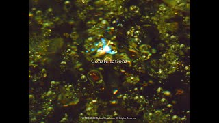 Constellations (16mm, trailer)