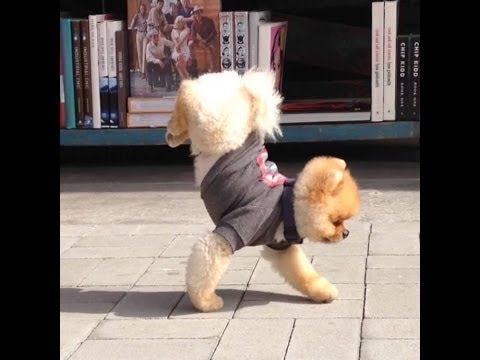 អាគីមិត្តខ្ញុំ ច្រៀងដោយ ឪក សុគន្ធកញ្ញា