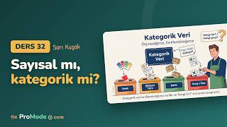Sayısal veri ve kategorik veri farkı | Yalın Altı Sigma Sarı Kuşak Dersi #32