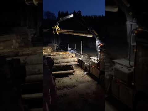 Langholz abladen in der Eifel