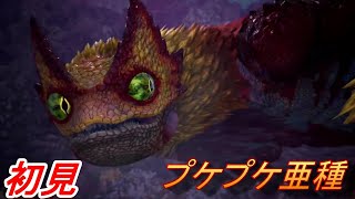 初見トプケプケ亜種【モンスターハンターワールドアイスボーン新天地で狩猟生活】