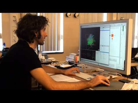 Christian Keysers. The Empathic Brain