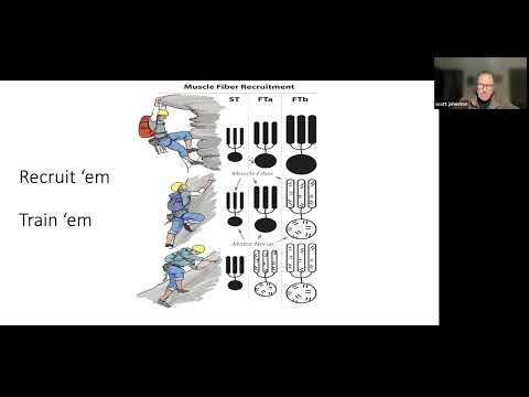 The Physiology Of Endurance