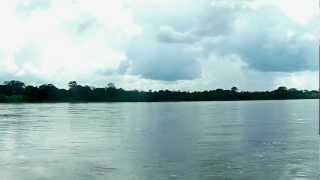 preview picture of video 'Yasuní, Recorrido en lancha por el Río Napo'