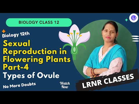 CHSE Board Class 12 -Sexual Reproduction in Flowering Plants Part-4 | Types of Ovule | LRNR Classes