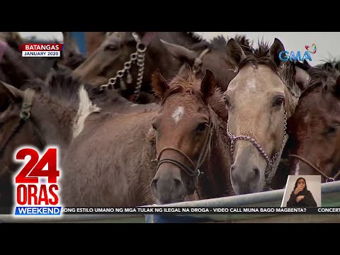 Mga kabayong nadamay sa pagsabog ng Taal noong 2020, ginagamit na sa horseback… 24 Oras Weekend