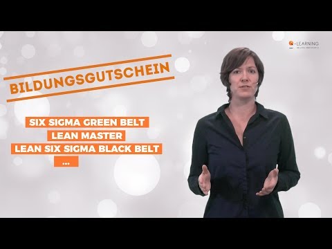 Q-LEARNING mit Bildungsgutschein (2017)