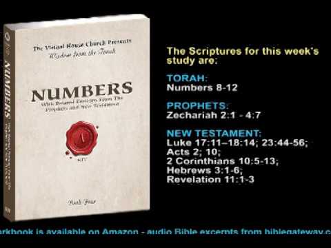VHC Week 36 - Torah Portion: Beha'alotekha (When you set up)