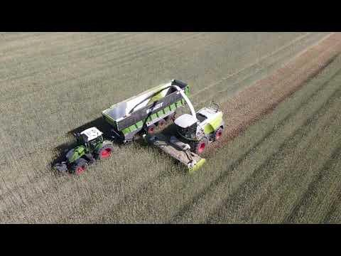 AGRARBETRIEB BRANDT / GPS Ernte 2022 / Full plant silage / CLAAS, SCANIA, FENDT