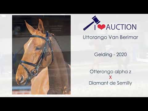 Uttorongo van Berimar Jumping