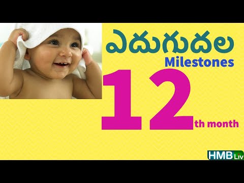 12 నెలలు నిండేసరికి బేబీ ఎదుగుదల సూచించే అంశాలు: 12 months milestones of baby