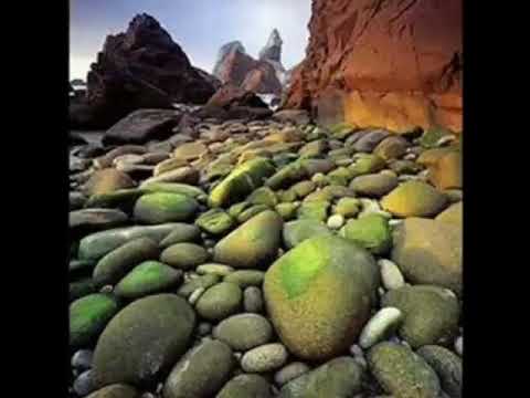 Pedacinho de Pão 18/05/18