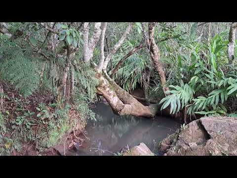 Abercrombie, Wall & Nussbaum Trio, London (1996)