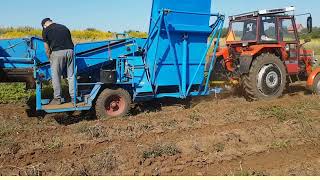 Agromet BOLKO Z-643 potethøster til salgs - Bilde 4 | Agronetto NO Agromet BOLKO Z-643 potethøster | Bilde 4 - Agronetto