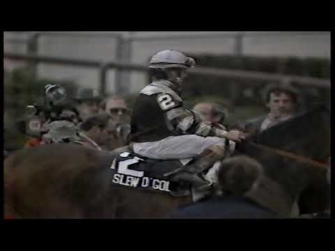 Aqueduct Racetrack 1983 - Slew O' Gold & Eddie Maple - Wood Memorial