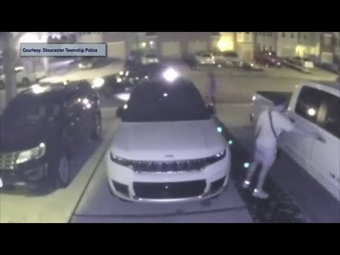 NJ Auto Theft Ring